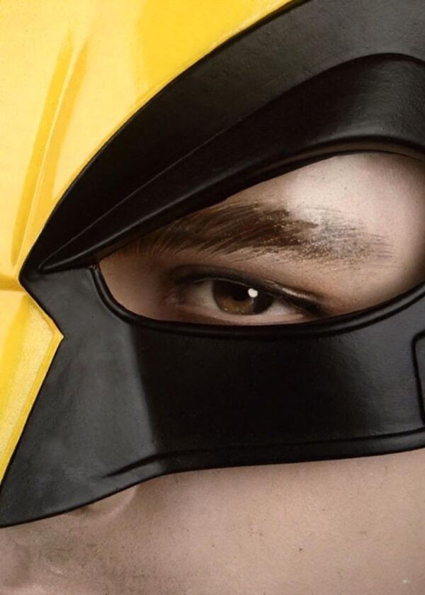 Deadpool 3 Mask Wolverine Headgear Cosplay